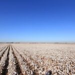 Why a Central Valley Personal Injury Lawyer Produces Better Outcomes Than a National or Out-of-Area Firm