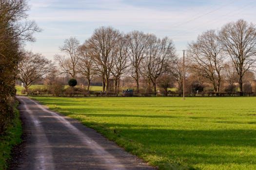 Pedestrian on rural road — Sanger pedestrian accident lawyer